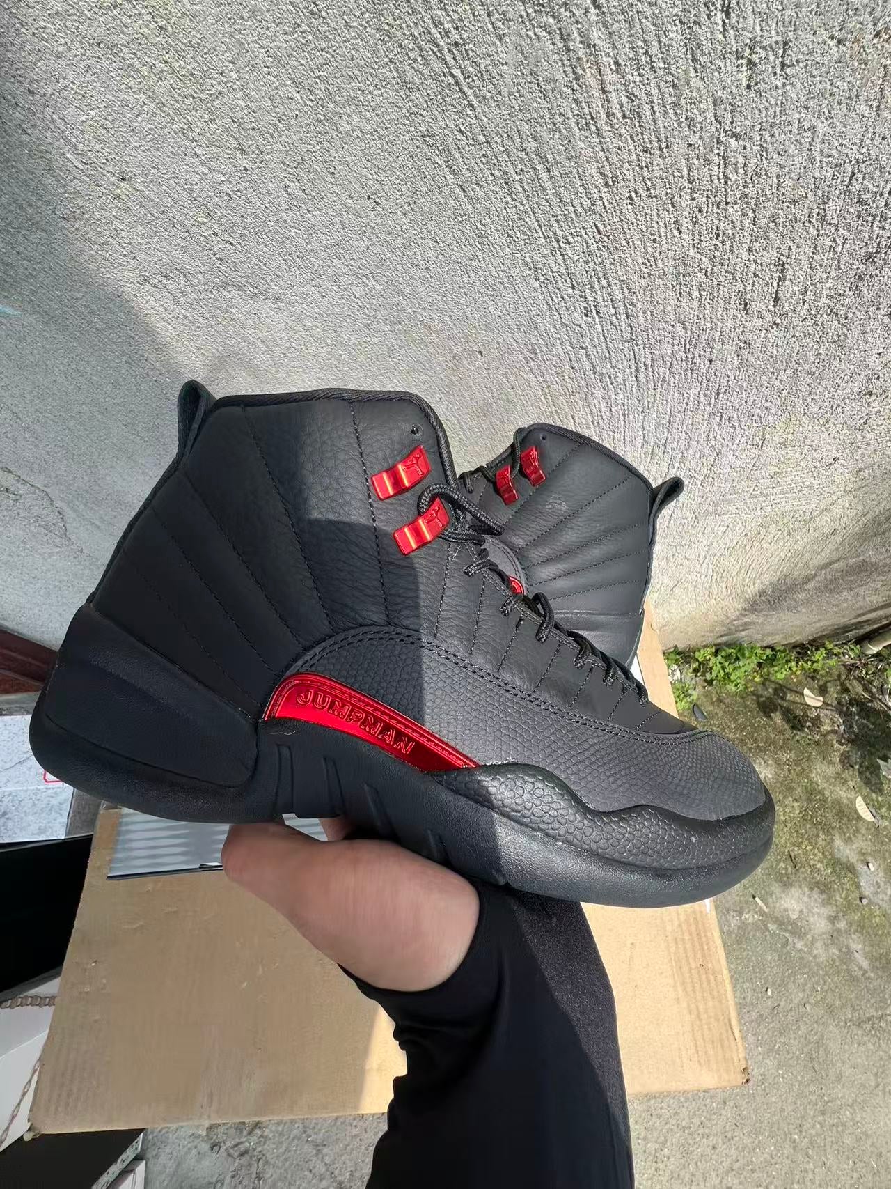 Air Jordan 12 Retro "Bloodline"